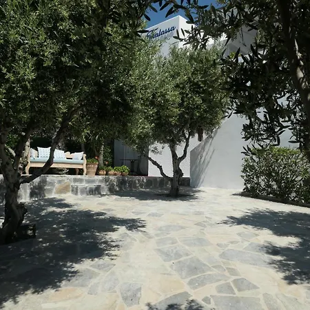 Thalassa Vila *